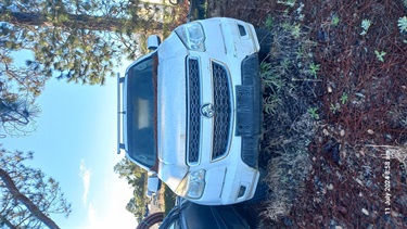 Holden-Colarado-Front.jpg